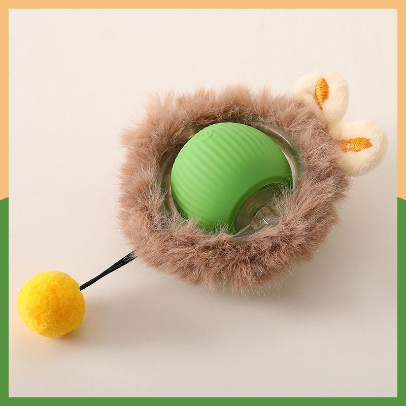🔥HOT SALE 50% OFF🔥Electric Pet Ball✨