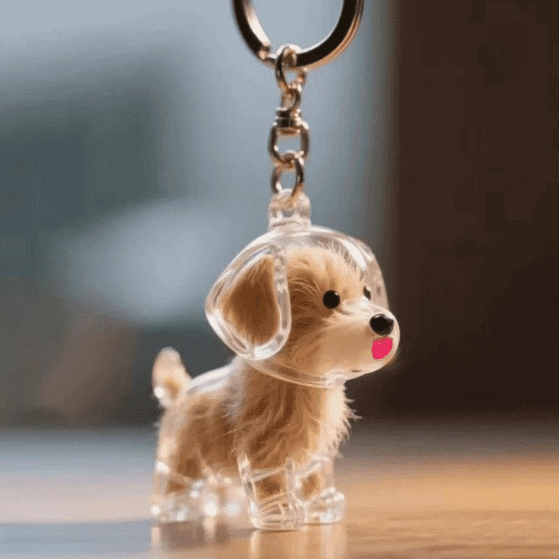 🔥HOT SALE 50% OFF🔥Pet Hair Storage Keychain✨