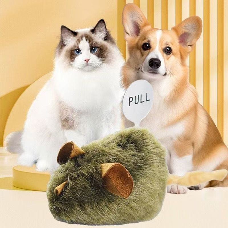 🔥Global Hot Sale🔥Mouse sound cat toy✨
