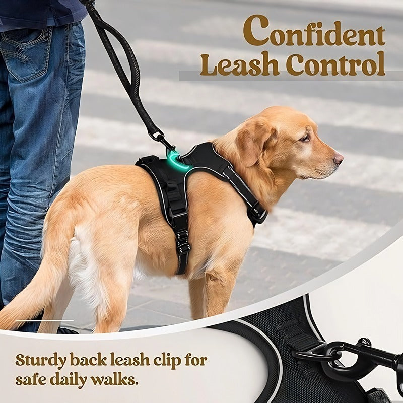 🔥HOT SALE 50% OFF🔥Pet leash + harness✨