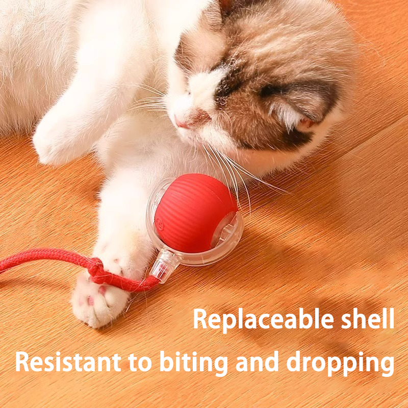 🔥HOT SALE 50% OFF🔥Electric Pet Ball✨