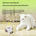 🔥Global Hot Sale🔥Pet toys, electric bird✨