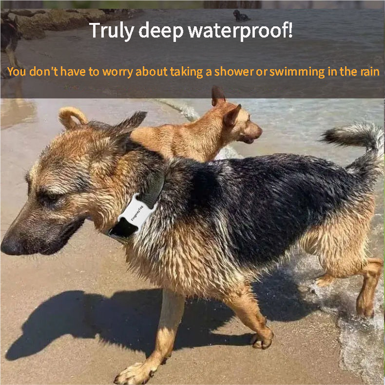 🔥Global Hot Sale🔥Pet tracking collar✨