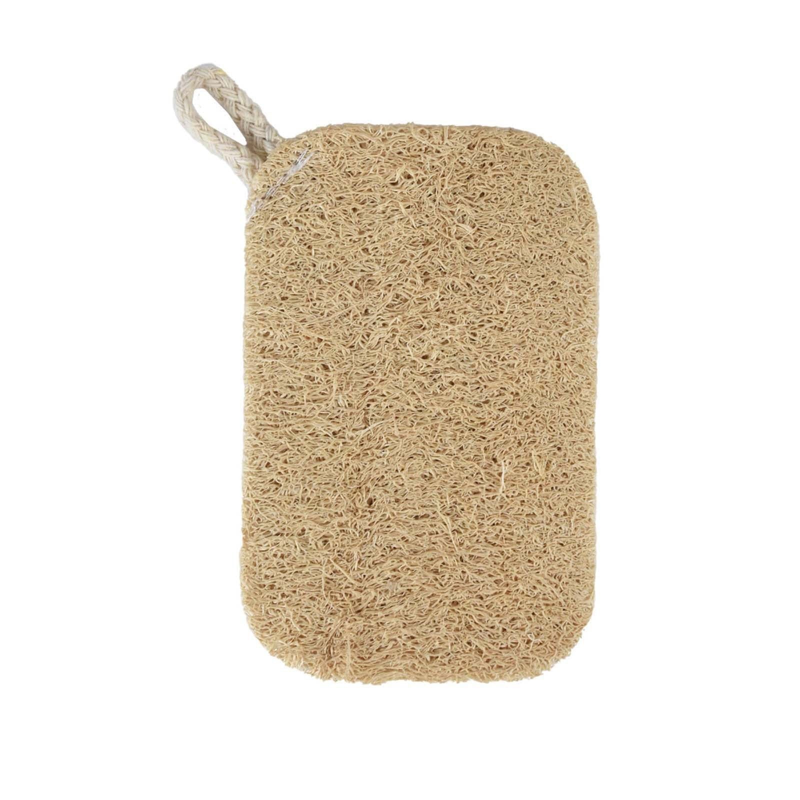 🔥HOT SALE 50% OFF🔥Dishwashing magic tool - loofah✨