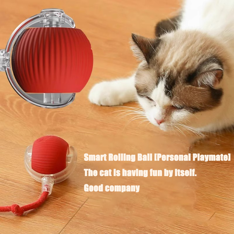 🔥HOT SALE 50% OFF🔥Electric Pet Ball✨