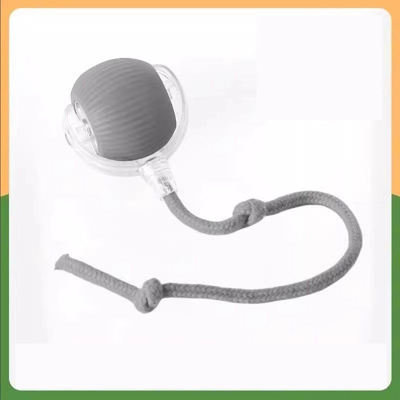 🔥HOT SALE 50% OFF🔥Electric Pet Ball✨